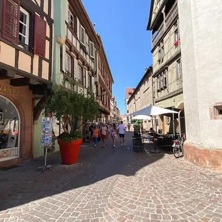 Attic Duplex Appartement Colmar